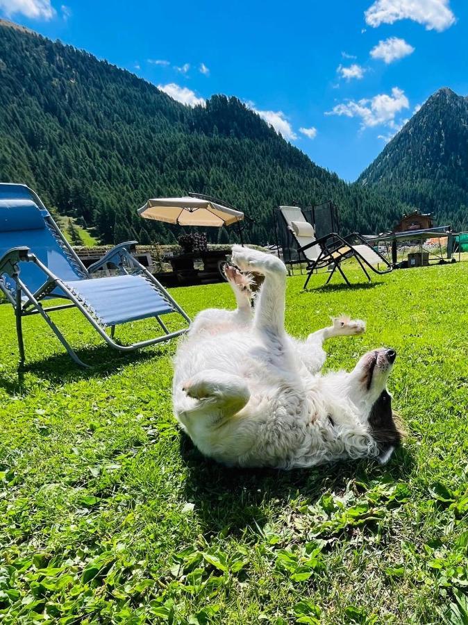 Chalet Sunshine Livigno Kültér fotó