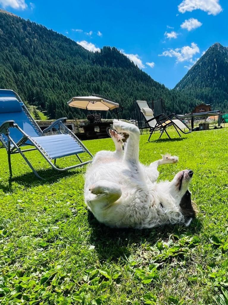 Chalet Sunshine Livigno Kültér fotó
